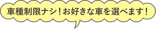 車種制限ナシ！お好きな車を選べます！